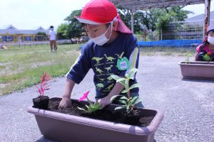 花いっぱい運動（年長児編）