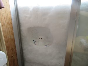 お部屋で雪遊び⛄（さくらぐみ）